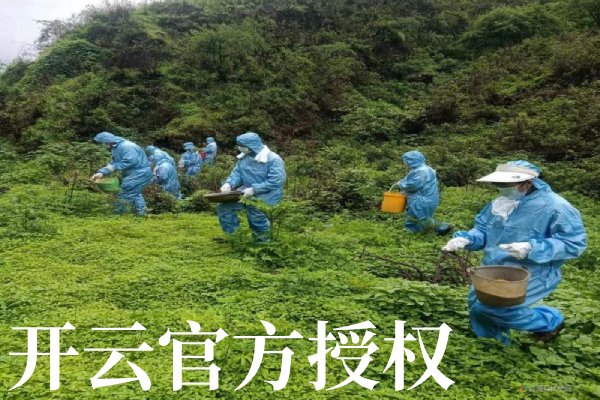 开云·kaiyun中国登录入口 开云·kaiyun中国登录入口